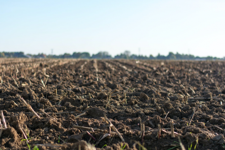 Investasi Tanah Makin Meriah Investasi Tanah Makin Meriah