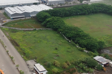 Sulap Lahan Kosong Buat Nambah Income