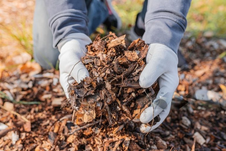 Biopori di Rumah: Solusi Lestarikan Air Tanah
