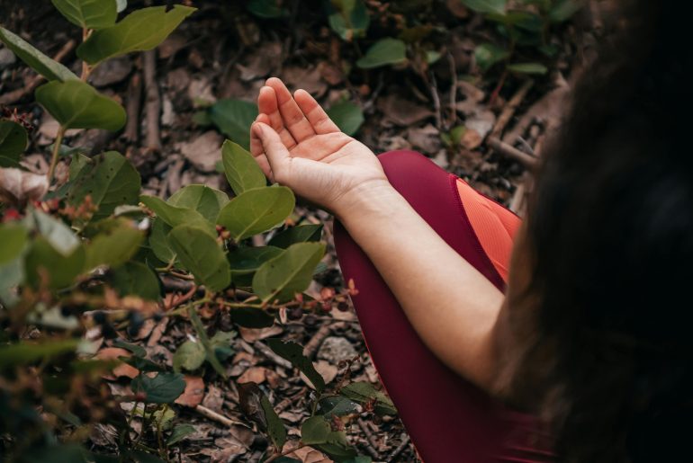 Healing Minim Budget Dengan Back To Nature