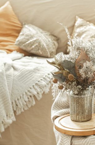 Where Comfort Feels Like Home